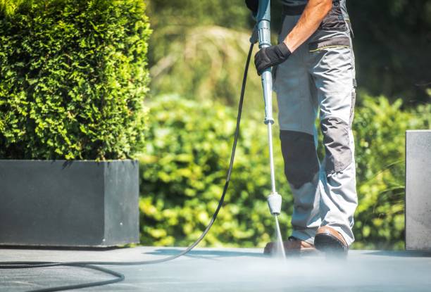 Best House Exterior Washing  in Ocean Ridge, FL