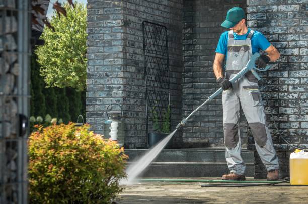 Best Animal Enclosure Cleaning  in Ocean Ridge, FL
