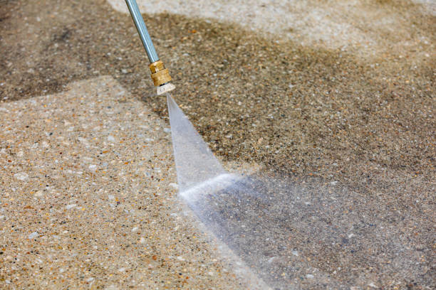 Best Gutter Cleaning  in Ocean Ridge, FL